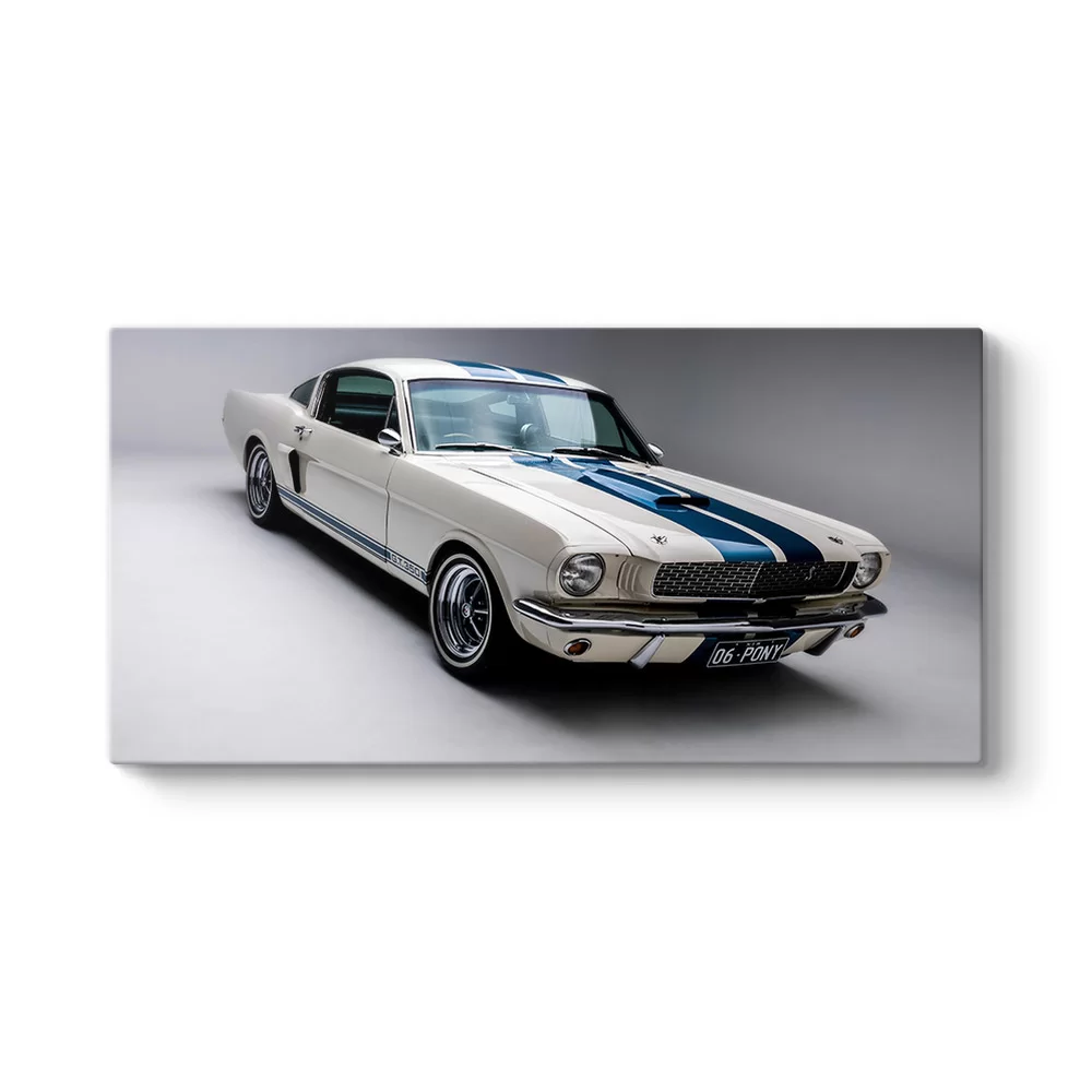 Ford Mustang Cobra Tablosu - Model 5